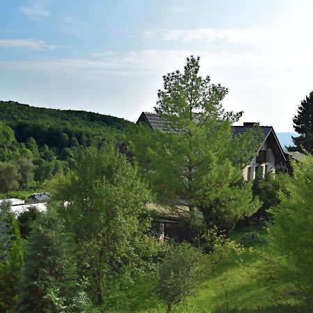 Lovely Holiday Home In The Thuringian Forest With Roof Terrace And Great View Bad Liebenstein Buitenkant foto