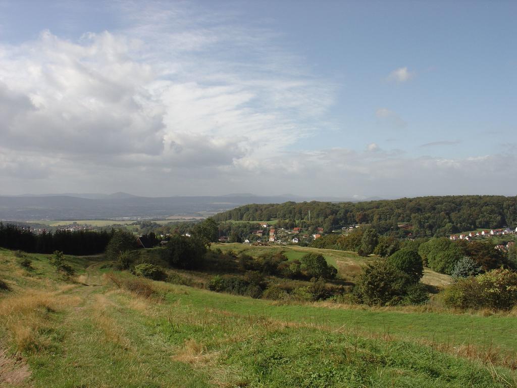 Lovely Holiday Home In The Thuringian Forest With Roof Terrace And Great View Bad Liebenstein Buitenkant foto